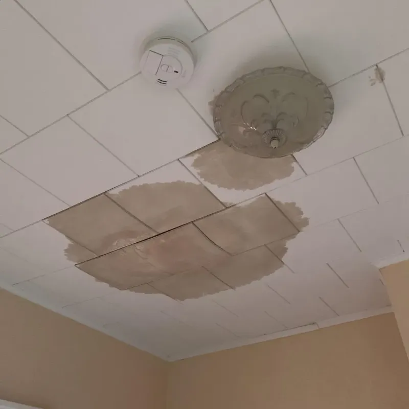 Ceiling Water Damage Repair in Stonewall, MS