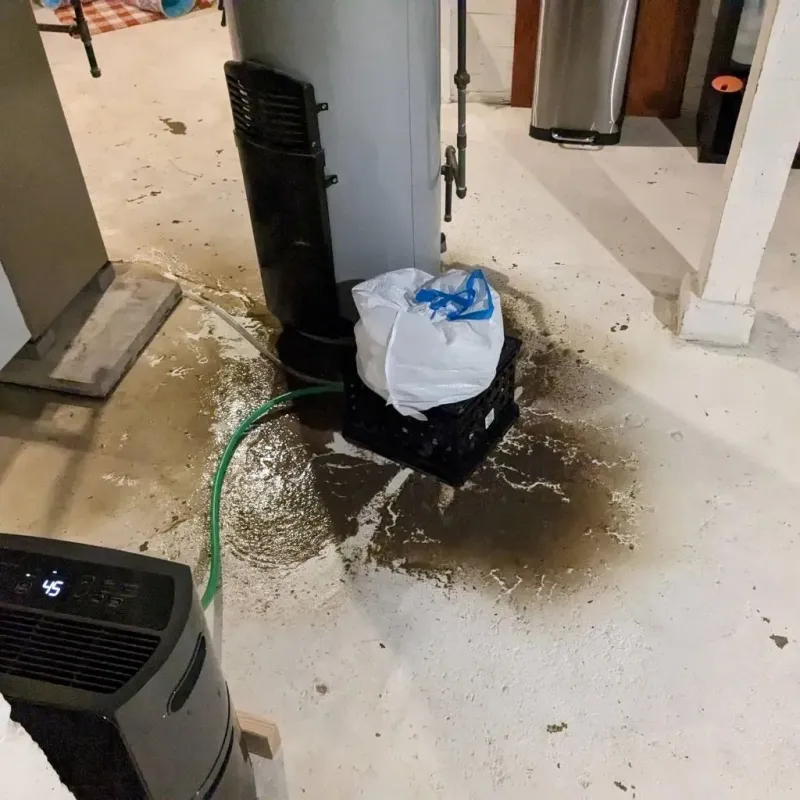 Sewage Backup Cleanup Service in Stonewall, MS
